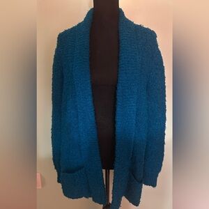 Women's Cozy Blue Sweater